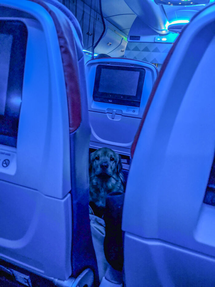 I Noticed I Was Being Watched During Today's Flight