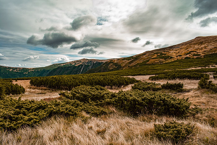 My 35 Photographs Of Ukrainian Carpathians