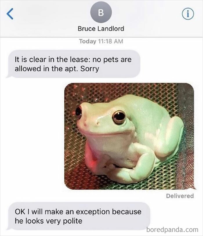 Landlord Says No Pets Allowed, But An Exception Is Made