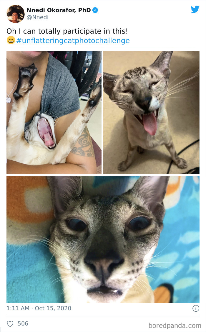 Unflattering-Funny-Cat-Photo-Challenge