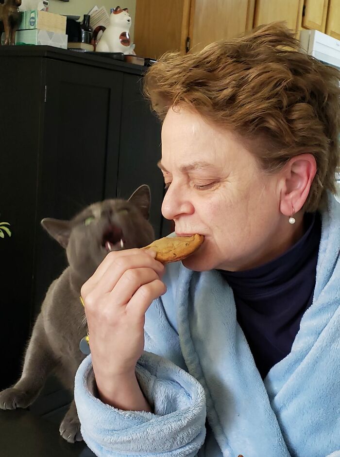 Unflattering-Funny-Cat-Photo-Challenge