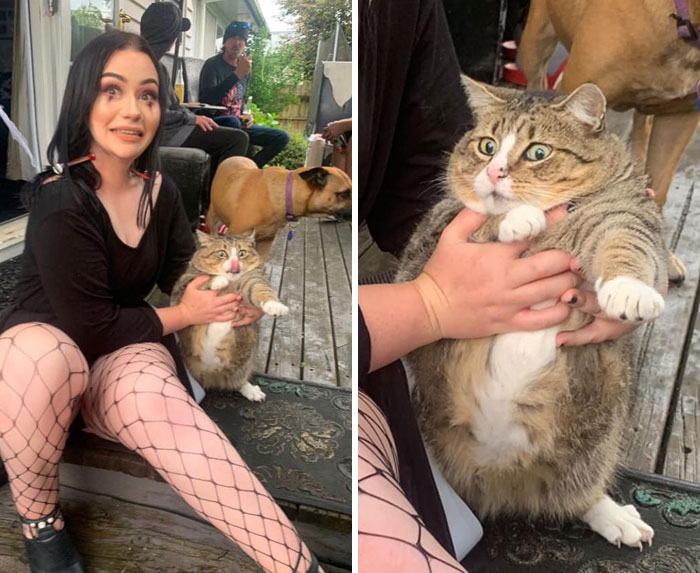 Unflattering-Funny-Cat-Photo-Challenge