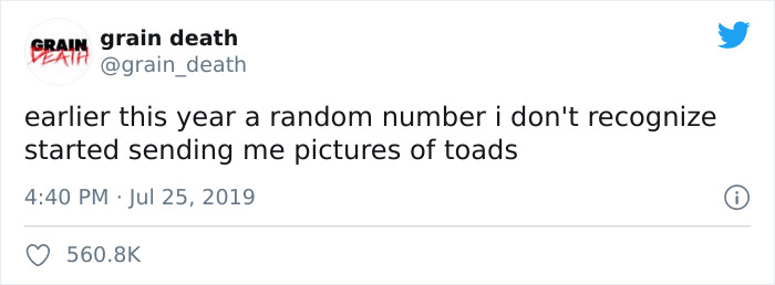 Unknown Number Starts Sending This Guy Toad Pics Without Any Context, Hilarity Ensues Unknown Number Starts Sending This Guy Toad Pics Without Any Context, Hilarity Ensues