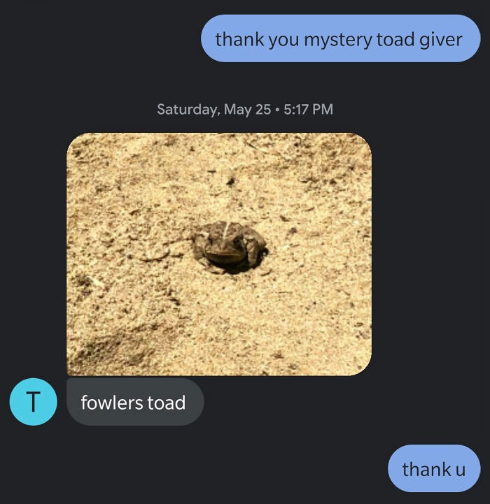 Unknown Number Starts Sending This Guy Toad Pics Without Any Context, Hilarity Ensues Unknown Number Starts Sending This Guy Toad Pics Without Any Context, Hilarity Ensues