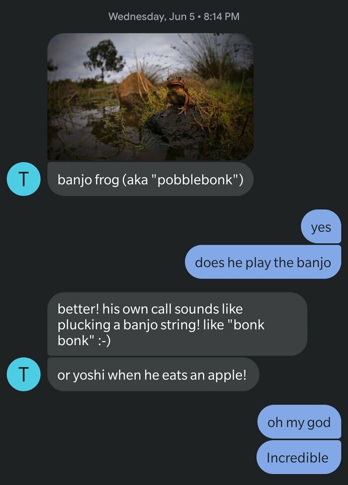 Unknown Number Starts Sending This Guy Toad Pics Without Any Context, Hilarity Ensues Unknown Number Starts Sending This Guy Toad Pics Without Any Context, Hilarity Ensues