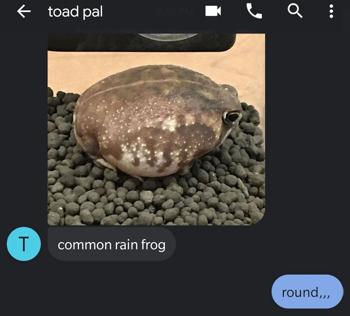 Unknown Number Starts Sending This Guy Toad Pics Without Any Context, Hilarity Ensues Unknown Number Starts Sending This Guy Toad Pics Without Any Context, Hilarity Ensues