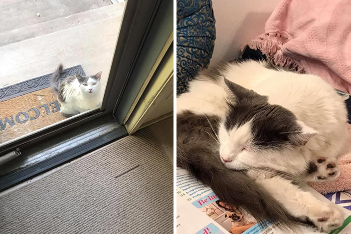 My Mom Is A Realtor. She Went To Show An Empty House And Found That The Previous Owners Had Left Something Behind