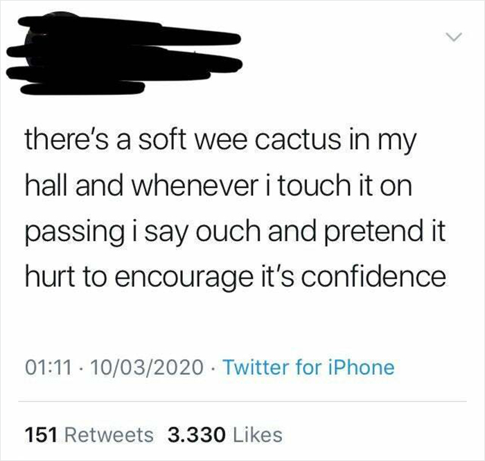 Tweet about a Scottish person's humorous interaction with a soft cactus to boost its confidence.