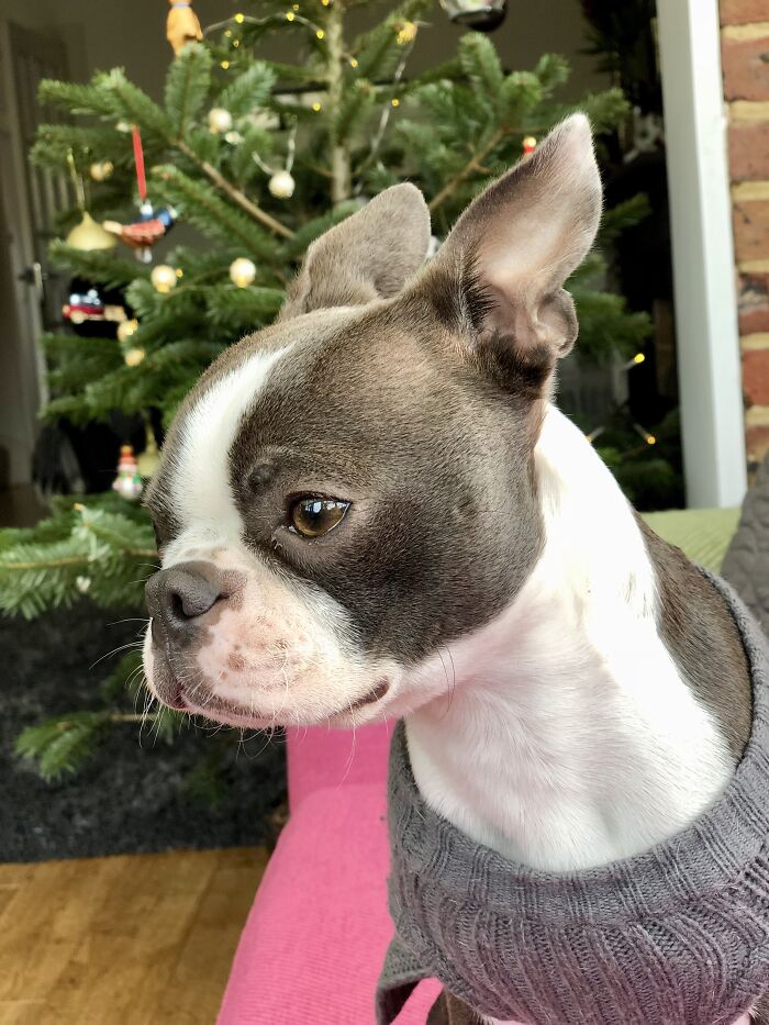 She Loves Posing For The Camera