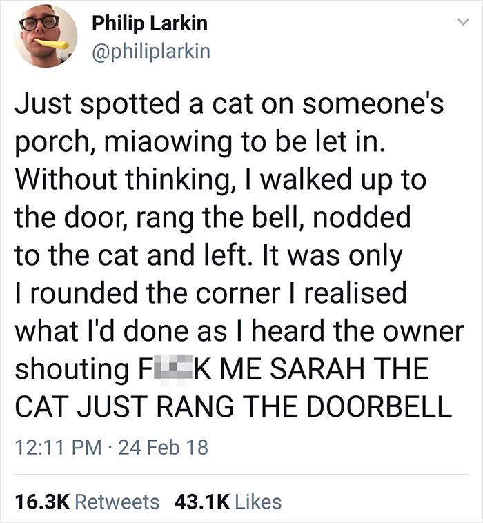 Tweet humorously depicts Scottish person's interaction with cat on porch, ringing doorbell on its behalf.