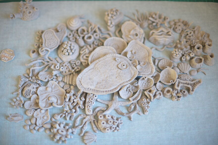 I Built The Most Beautiful Coral Reef Table I Built The Most Beautiful Coral Reef Table