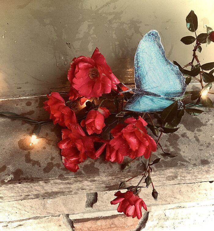 I Drew The Butterfly But I’m More Proud Of The Photo