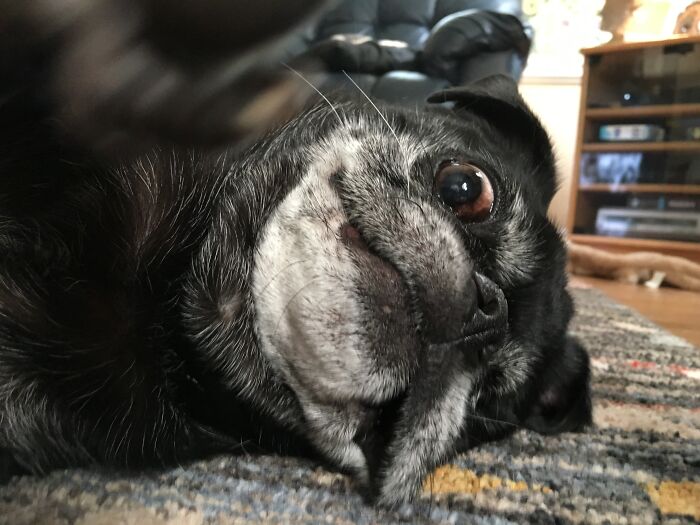 Not Mine, Hilarious Though!