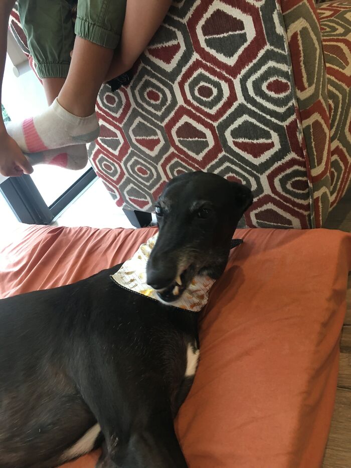 Tried To Get A Nice Photo...