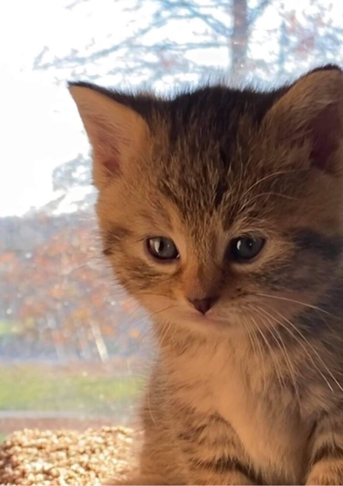 “Deep Thoughts With Fiona”