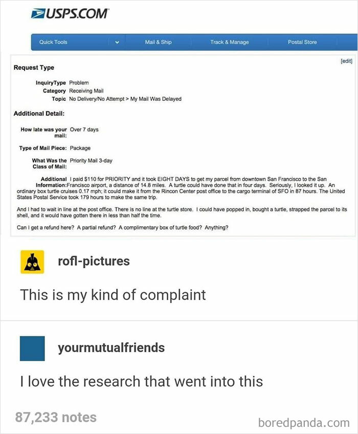 The Turtle Is Faster