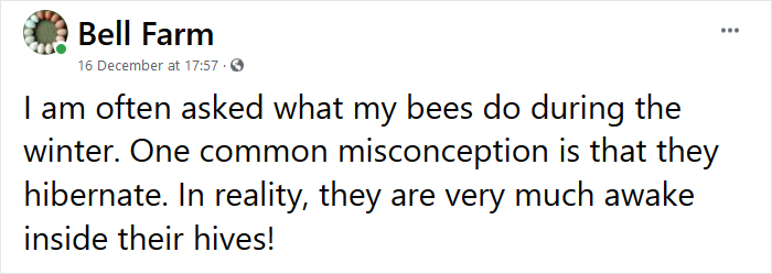 Beekeeper Shares What Bees Do To Stay Warm During Winter Because They Don't Hibernate