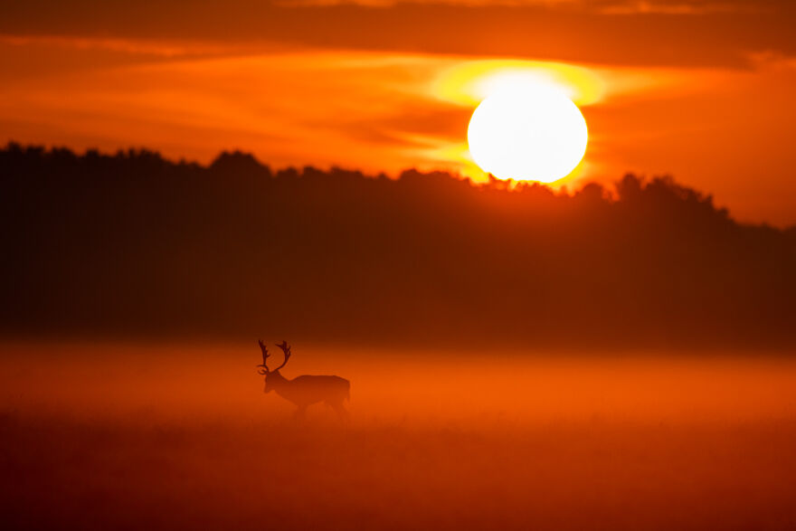 2020 Through The Eyes Of Irish Photographers