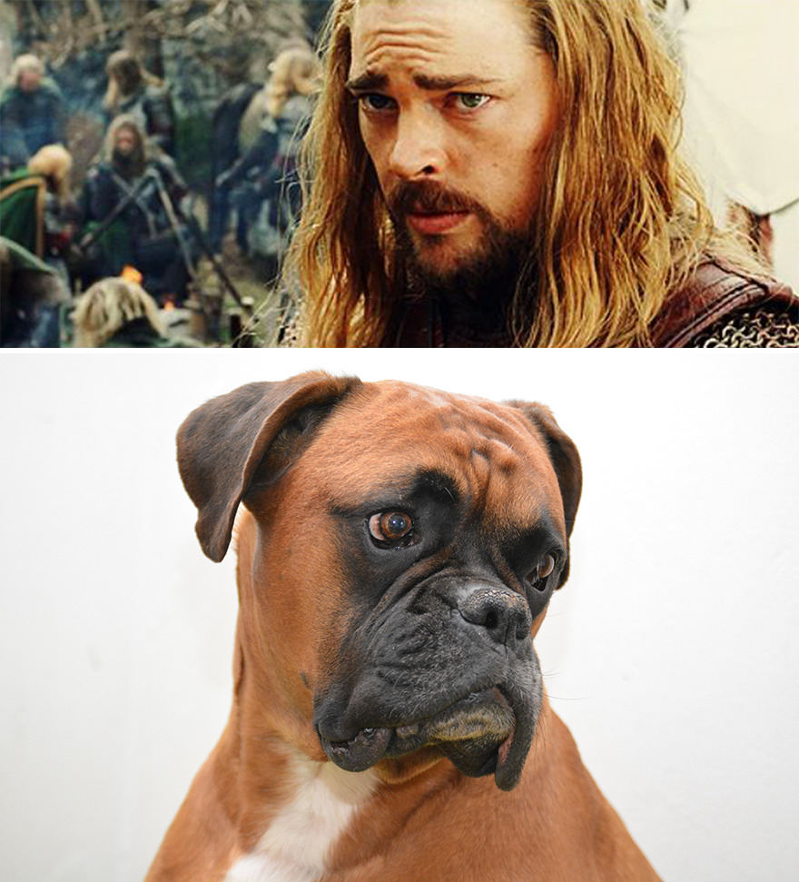 Éomer