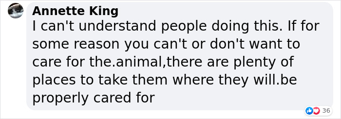 Dog Was Left Tied To A Fence All Alone For 5 Days Because His Owners Left Him When They Moved House