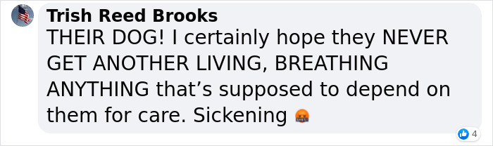 Dog Was Left Tied To A Fence All Alone For 5 Days Because His Owners Left Him When They Moved House Dog Was Left Tied To A Fence All Alone For 5 Days Because His Owners Left Him When They Moved House