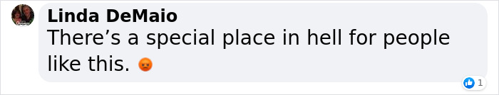 Dog Was Left Tied To A Fence All Alone For 5 Days Because His Owners Left Him When They Moved House