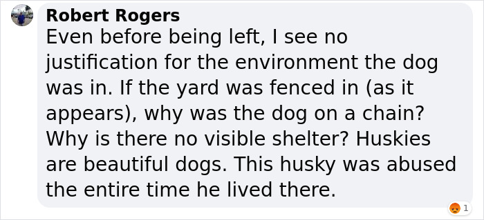 Dog Was Left Tied To A Fence All Alone For 5 Days Because His Owners Left Him When They Moved House