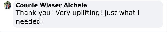 Adorable Short Animation Shows How A Furry Friend Can Help Get Through Tough Times Adorable Short Animation Shows How A Furry Friend Can Help Get Through Tough Times