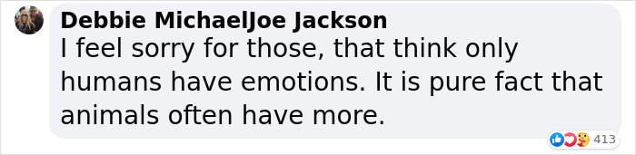 2 Widowed Penguins Hugging Each Other Wins 2020 Ocean Photography 1st Place Award 2 Widowed Penguins Hugging Each Other Wins 2020 Ocean Photography 1st Place Award