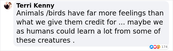 2 Widowed Penguins Hugging Each Other Wins 2020 Ocean Photography 1st Place Award 2 Widowed Penguins Hugging Each Other Wins 2020 Ocean Photography 1st Place Award
