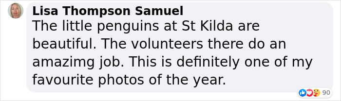 2 Widowed Penguins Hugging Each Other Wins 2020 Ocean Photography 1st Place Award 2 Widowed Penguins Hugging Each Other Wins 2020 Ocean Photography 1st Place Award