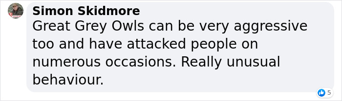 "It Sent Tingles Down My Spine For Hours": Owl Lands On This Photographer&rsquo;s Lens, Ends Up Blending In Perfectly