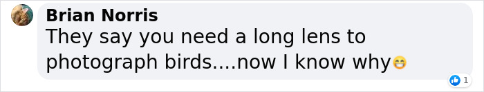 "It Sent Tingles Down My Spine For Hours": Owl Lands On This Photographer&rsquo;s Lens, Ends Up Blending In Perfectly