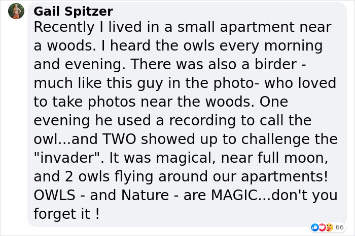 "It Sent Tingles Down My Spine For Hours": Owl Lands On This Photographer’s Lens, Ends Up Blending In Perfectly "It Sent Tingles Down My Spine For Hours": Owl Lands On This Photographer’s Lens, Ends Up Blending In Perfectly