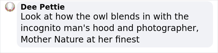 "It Sent Tingles Down My Spine For Hours": Owl Lands On This Photographer’s Lens, Ends Up Blending In Perfectly "It Sent Tingles Down My Spine For Hours": Owl Lands On This Photographer’s Lens, Ends Up Blending In Perfectly