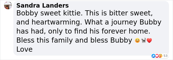 3-Legged Cat Goes Back To The House Where He Once Discovered Kindness And Finds A Family Of His Dreams 3-Legged Cat Goes Back To The House Where He Once Discovered Kindness And Finds A Family Of His Dreams