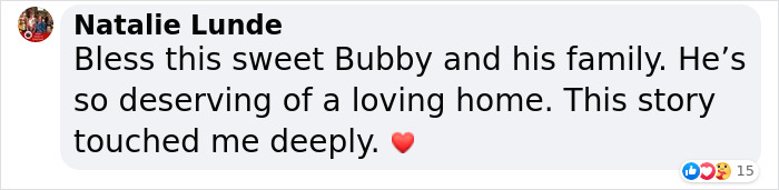 3-Legged Cat Goes Back To The House Where He Once Discovered Kindness And Finds A Family Of His Dreams 3-Legged Cat Goes Back To The House Where He Once Discovered Kindness And Finds A Family Of His Dreams