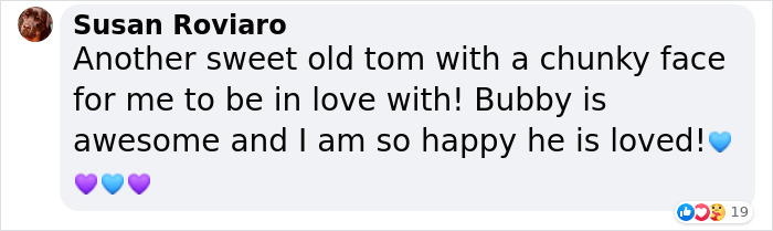 3-Legged Cat Goes Back To The House Where He Once Discovered Kindness And Finds A Family Of His Dreams 3-Legged Cat Goes Back To The House Where He Once Discovered Kindness And Finds A Family Of His Dreams