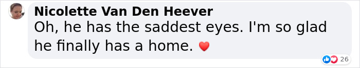 3-Legged Cat Goes Back To The House Where He Once Discovered Kindness And Finds A Family Of His Dreams 3-Legged Cat Goes Back To The House Where He Once Discovered Kindness And Finds A Family Of His Dreams