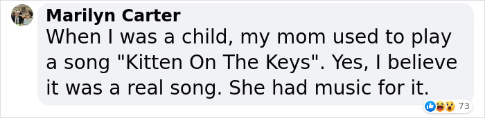 People Are Loving This Video Of A Cat Getting A "Piano Hammer Massage" While His Owner Plays Christmas Songs People Are Loving This Video Of A Cat Getting A "Piano Hammer Massage" While His Owner Plays Christmas Songs