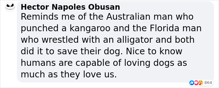 Man Sees A 350lb Bear Killing His Dog, Grabs It By The Throat And Punches It In The Face