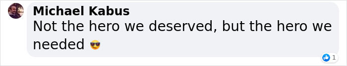 Man Sees A 350lb Bear Killing His Dog, Grabs It By The Throat And Punches It In The Face