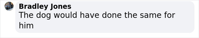 Man Sees A 350lb Bear Killing His Dog, Grabs It By The Throat And Punches It In The Face