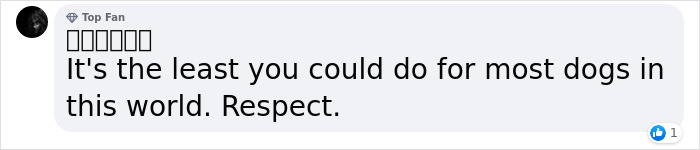 Man Sees A 350lb Bear Killing His Dog, Grabs It By The Throat And Punches It In The Face