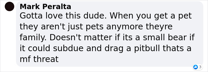 Man Sees A 350lb Bear Killing His Dog, Grabs It By The Throat And Punches It In The Face