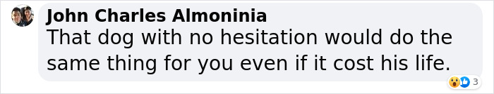 Man Sees A 350lb Bear Killing His Dog, Grabs It By The Throat And Punches It In The Face