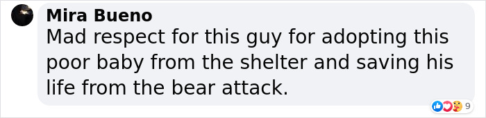 Man Sees A 350lb Bear Killing His Dog, Grabs It By The Throat And Punches It In The Face