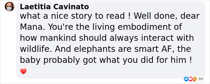 Baby Elephant Who Looked Dead After Being Hit By A Motorcycle Receives CPR, Survives And Is Reunited With The Mother