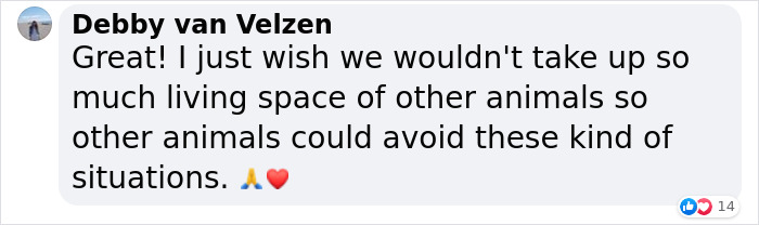 Baby Elephant Who Looked Dead After Being Hit By A Motorcycle Receives CPR, Survives And Is Reunited With The Mother