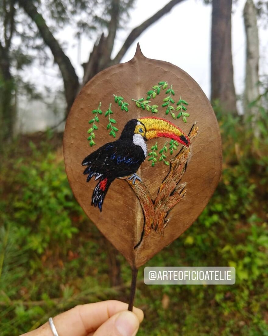 What Nature Discards, This Brazilian Artist Takes The Opportunity To Beautify Life